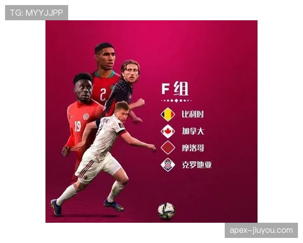 世界杯F组胜率与出线率统计